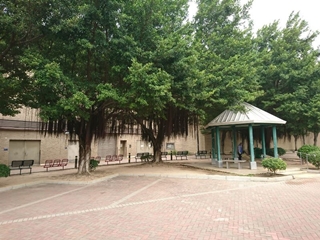 荔枝角公園第一期 官方相片